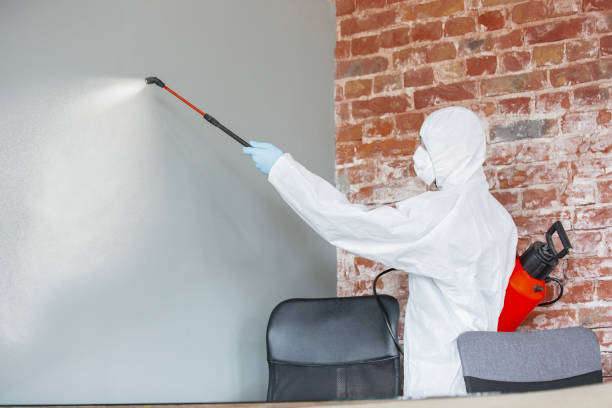 Best Real Estate Mold Inspection  in Tres Arroyos, NM