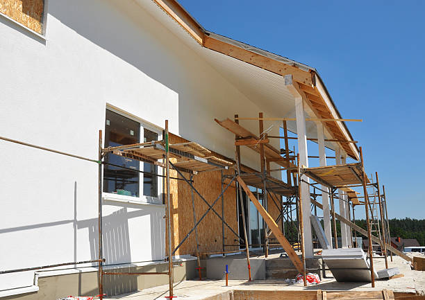 Best Black Mold Removal  in Tres Arroyos, NM